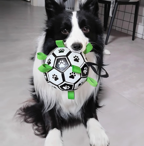 狗狗玩具球耐咬磨牙边牧拉布拉多马犬柯基狗咬铃铛球足球宠物用品