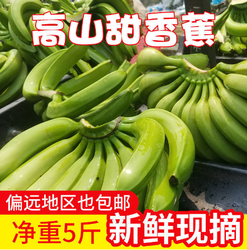 云南高原山地自然熟香甜香蕉/纯天然新鲜水果1/5斤/9斤包邮批发