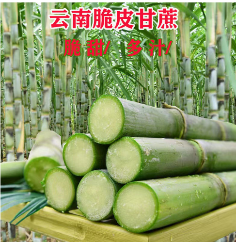 云南脆皮甘蔗青皮甘蔗薄皮可手撕新鲜水果清甜多汁