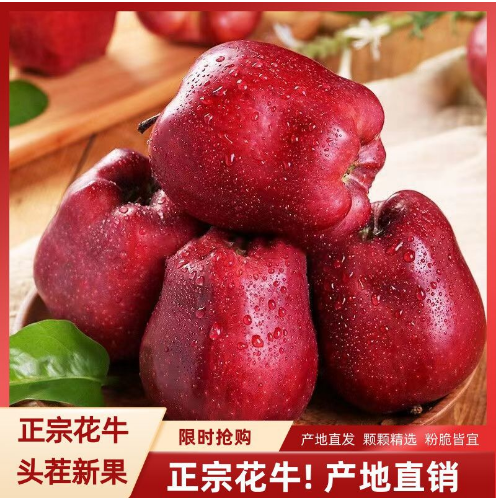 花牛苹果甘肃天水10斤新鲜水果当季整箱红蛇果孕妇应粉面批发刮泥