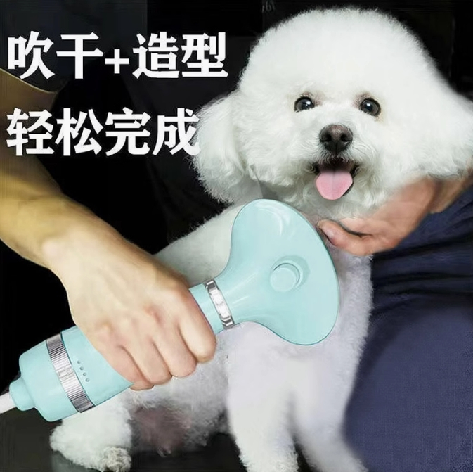 宠物吹风梳机拉毛一体猫狗吹毛神器洗澡烘干小型犬猫梳毛专用